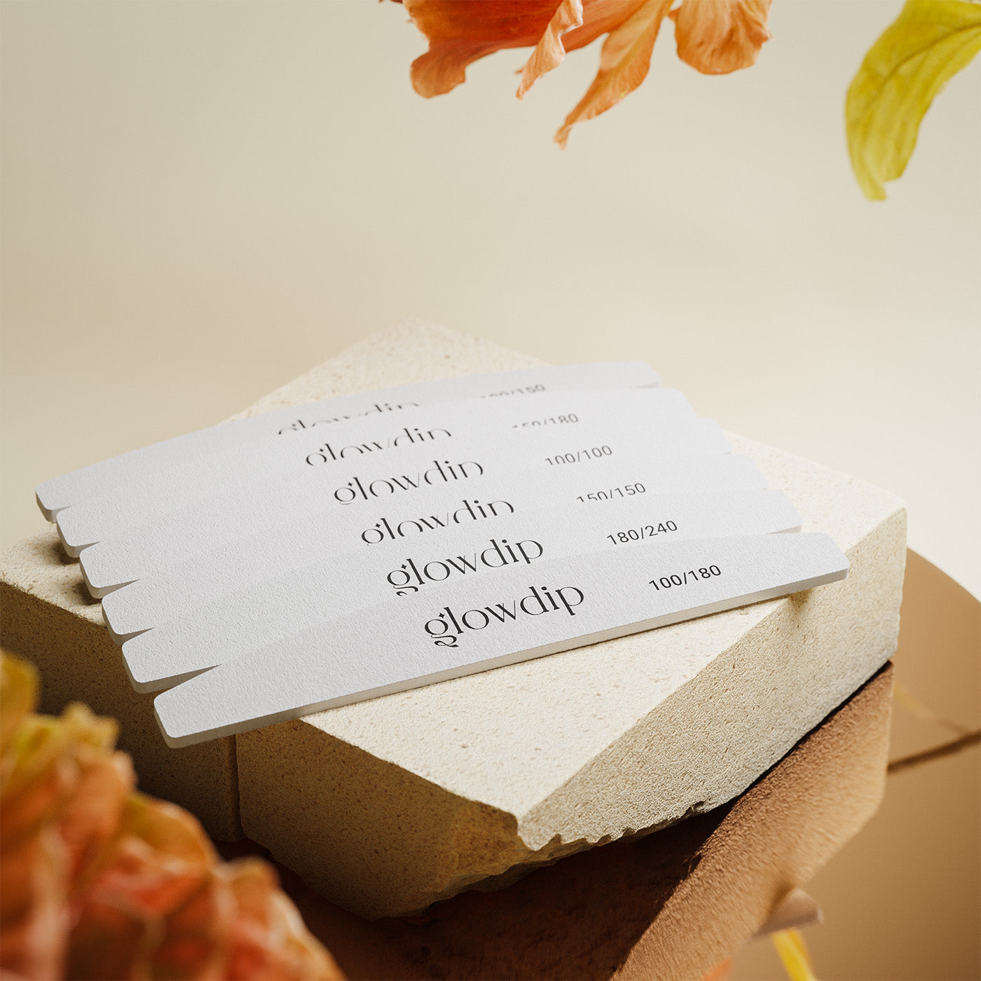 Premium File Set (6 pieces)